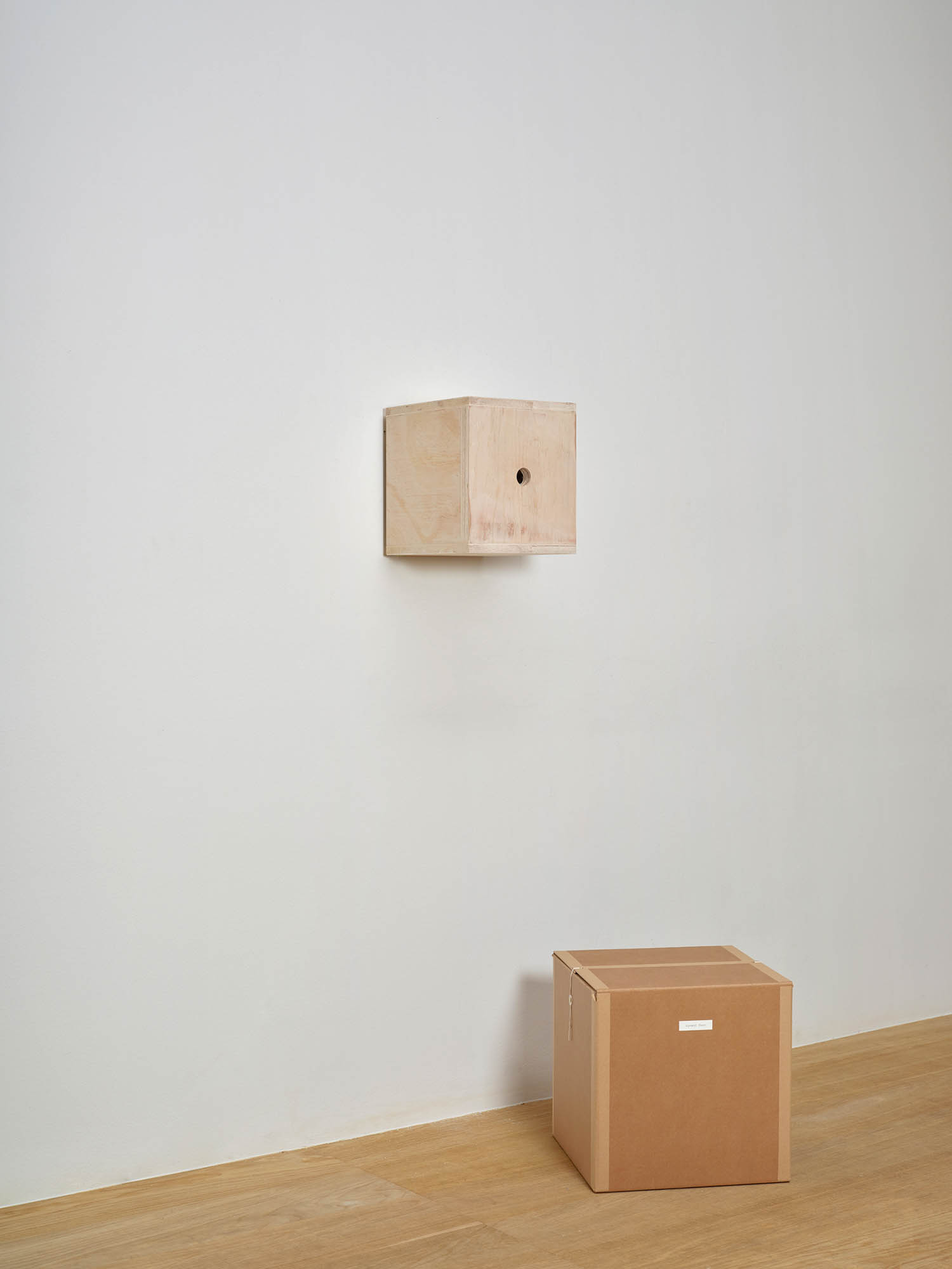 Hyewon Kwon, *Synthetic Obscura*, 2026, Plywood panel, video, lens, LCD display, Raspberry Pi-based circuitry, 25 × 25 × 25 cm.
