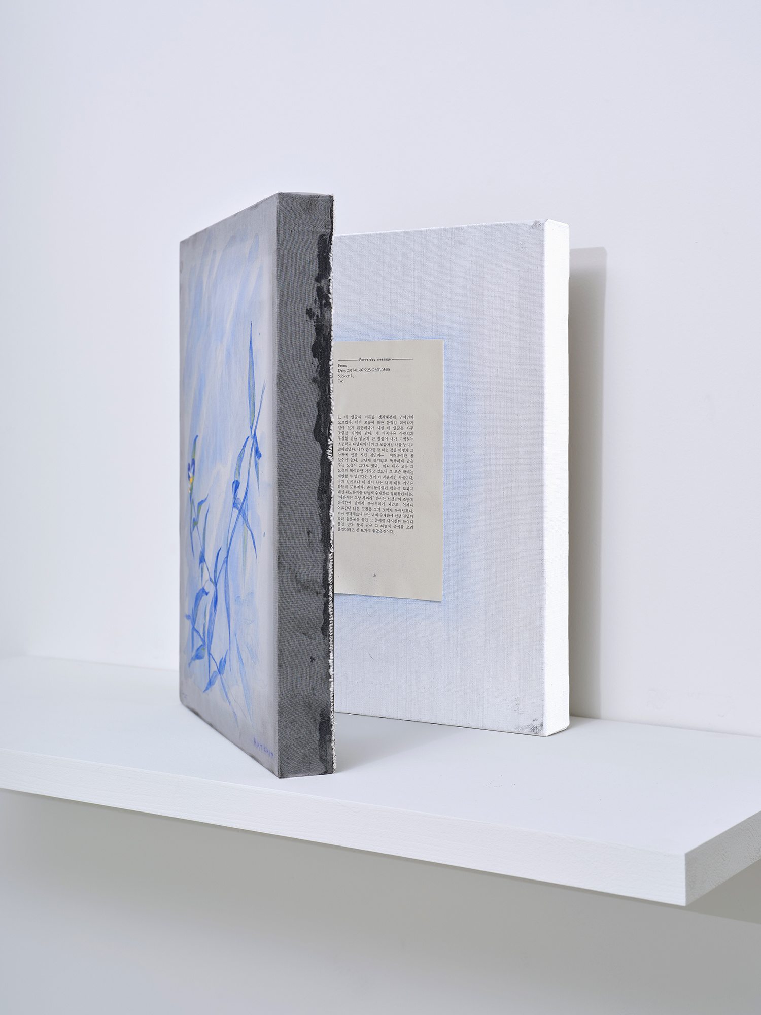 Joeun Kim Aatchim, *Memory of L (Dayflower over the Pages of the Artist’s Book)*, 2025, mineral pigments, watercolor, colored pencil on silk, paper on canvas, 41 × 32 cm each, diptych, box: 43.5(h) × 33.5 × 10 cm