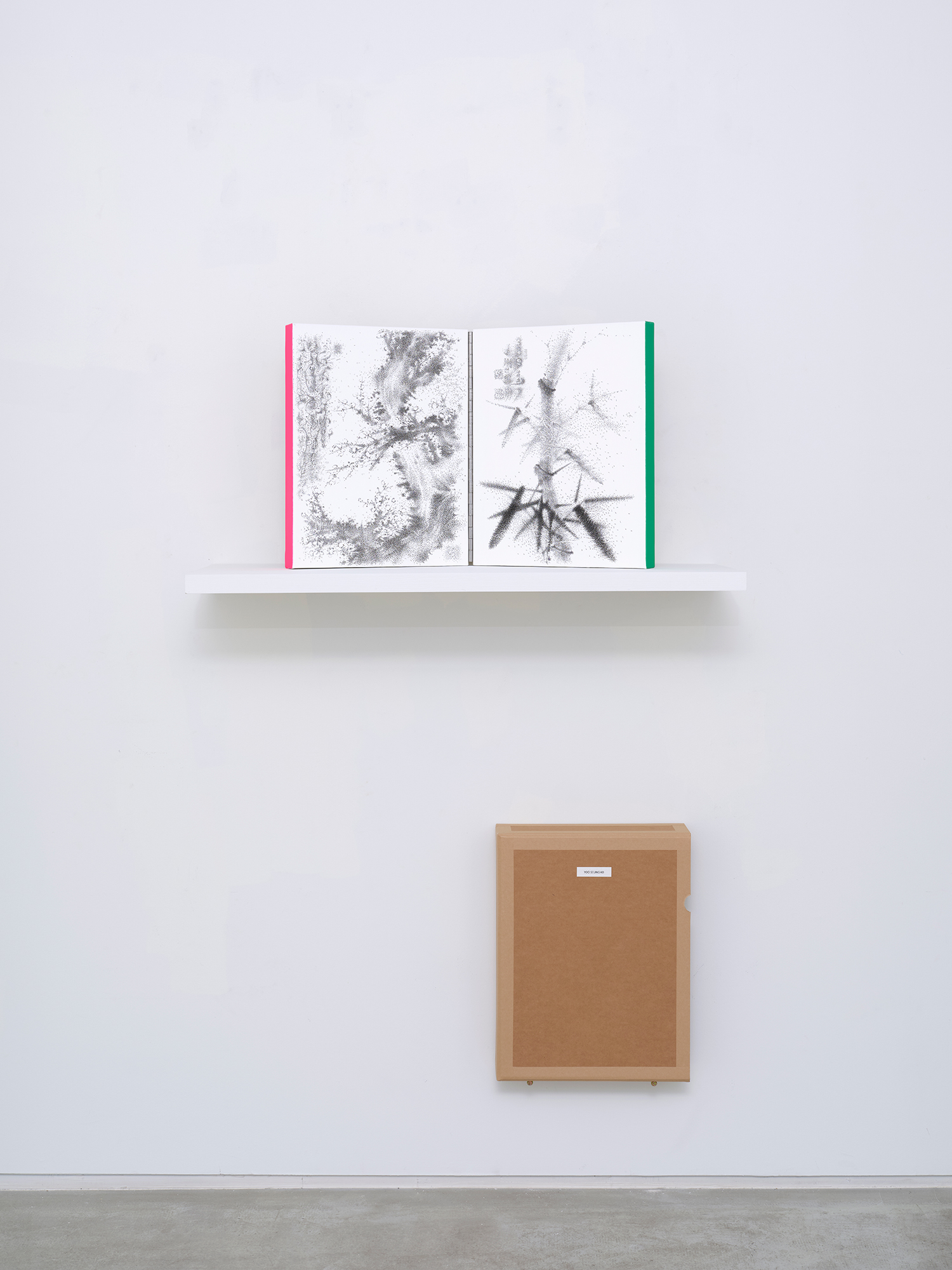 Yoo Seungho (b. 1974), *Euak, Merong ~*, 2025, ink, acrylic on canvas, 41 × 32 cm each, diptych, box: 43.5(h) × 33.5 × 10 cm