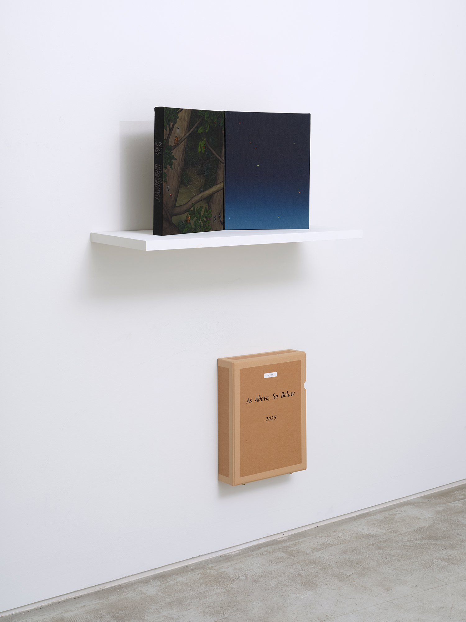 Lee Jaesok, *As Above, So Below*, 2025, acrylic on canvas, 41 × 32 cm each, diptych, box: 43.5(h) × 33.5 × 10 cm