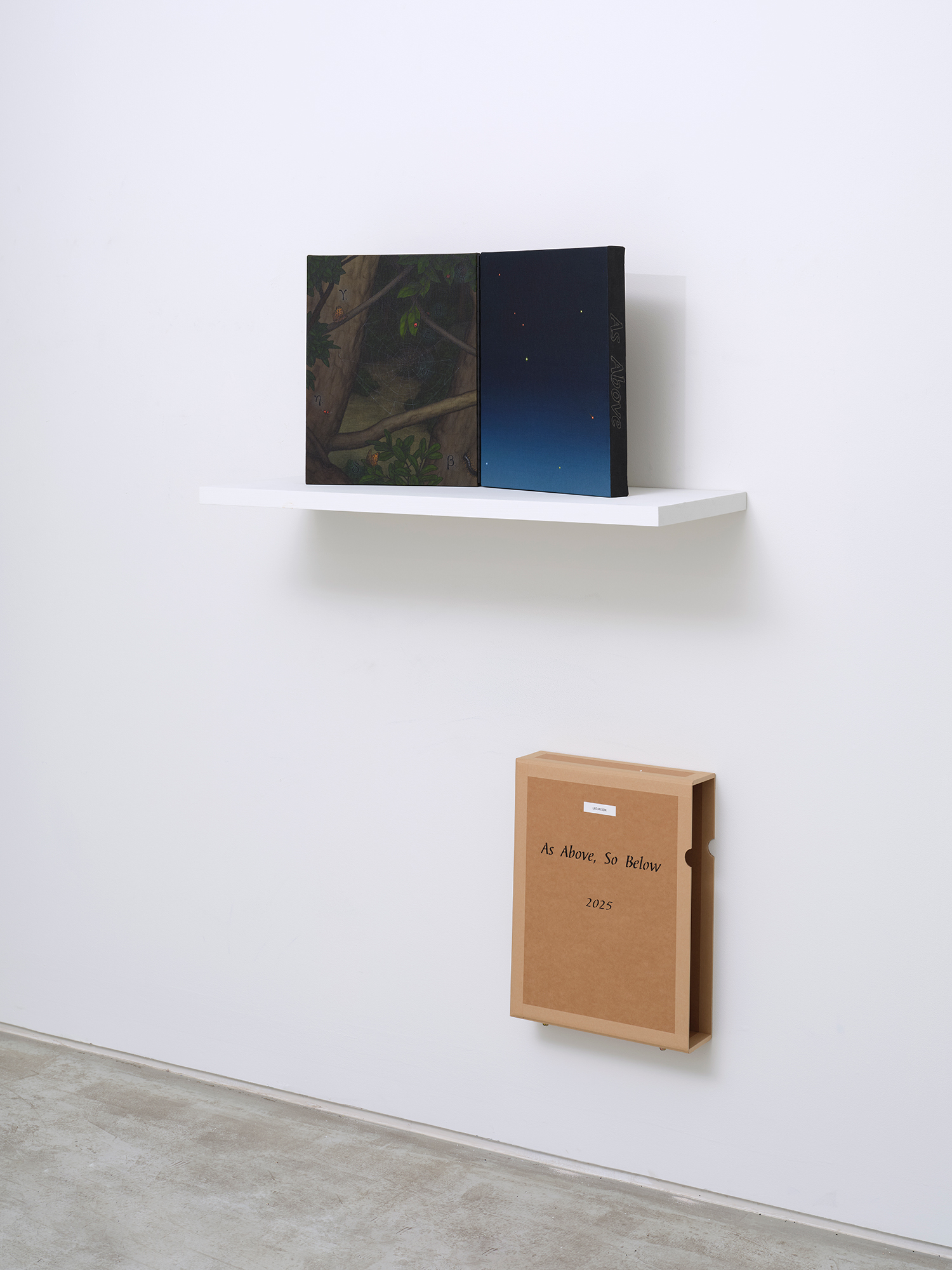 Lee Jaesok, *As Above, So Below*, 2025, acrylic on canvas, 41 × 32 cm each, diptych, box: 43.5(h) × 33.5 × 10 cm